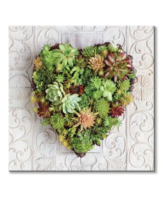 Kaktusowe serce - obraz na płótnie