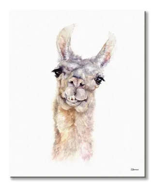 Lama - obraz na płótnie