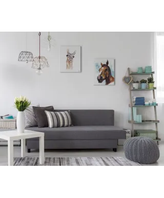 Lama - obraz na płótnie