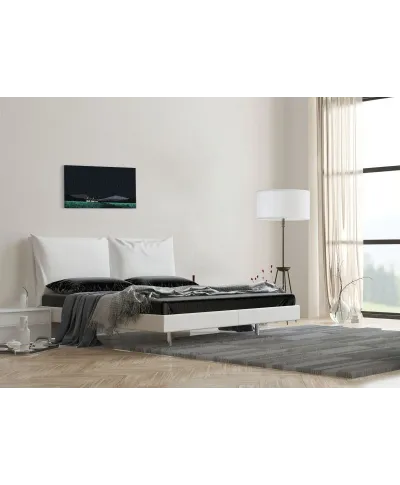 Swallow's Nest - obraz na płótnie