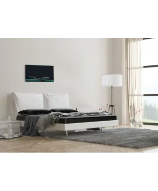 Swallow's Nest - obraz na płótnie