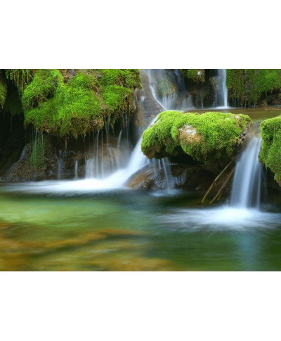Fototapeta na ścianę - Leśny wodospad - 254x183 cm