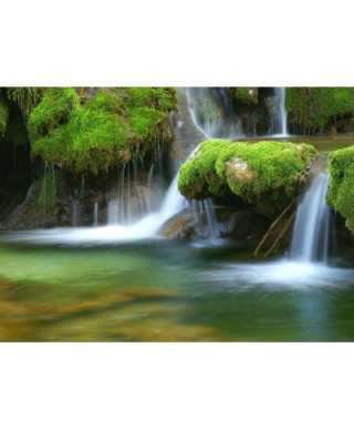 Fototapeta na ścianę - Leśny wodospad - 254x183 cm