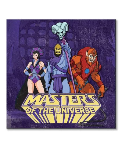 Masters of the Universe Team Skeletor - obraz na płótnie