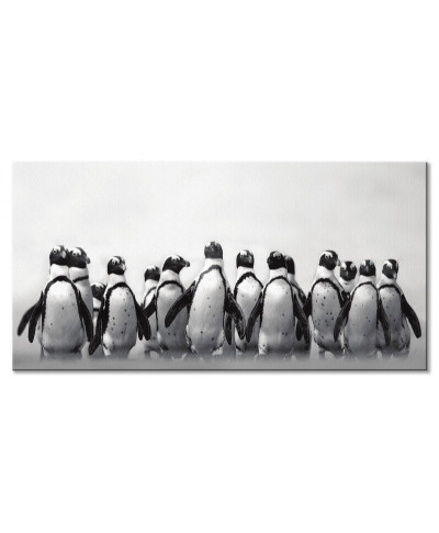 Pingwinie stado - obraz na płótnie