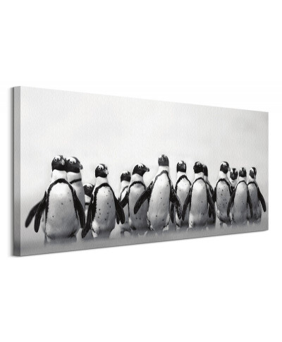 Stado Pingwinów - obraz na płótnie
