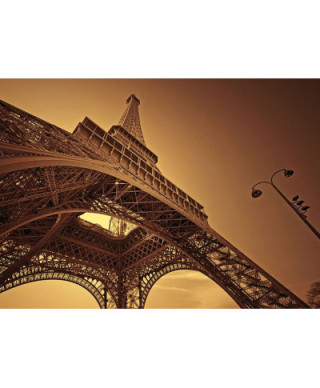Fototapeta na ścianę - Paryż - 254x183 cm