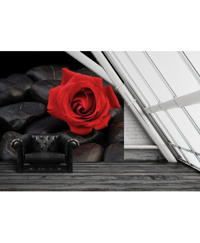 Fototapeta na ścianę - Róża na kamieniach - 254x183 cm