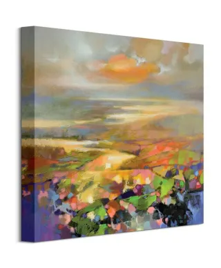 Highland Terrain - obraz na płótnie