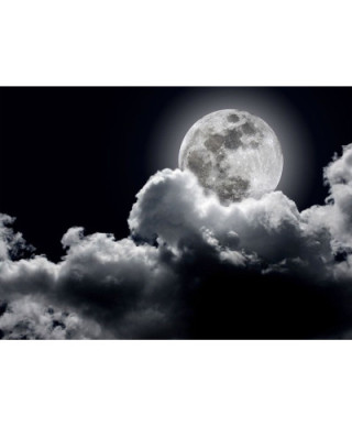 Pełnia księżyca - fototapeta 254x183 cm