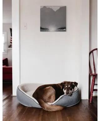 Obraz na ścianę - Górskie widoki - 40x40 cm