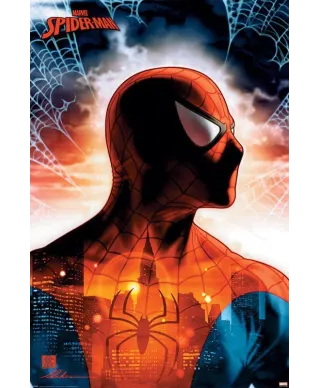 Spider-Man Protector Of The City - plakat