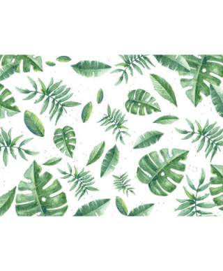 Tapeta w Tropikalne zielone liście - listki - 183x254cm