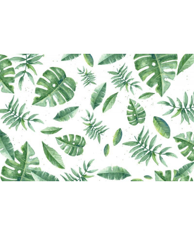 Tropikalne liście - listki - Fototapeta 175x115 cm
