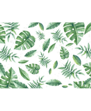 Fototapeta w Tropikalne zielone listki- 320x230 cm