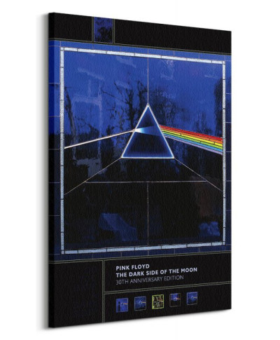 Pink Floyd Dark Side Of The Moon 30th Anniversary - obraz na płótnie