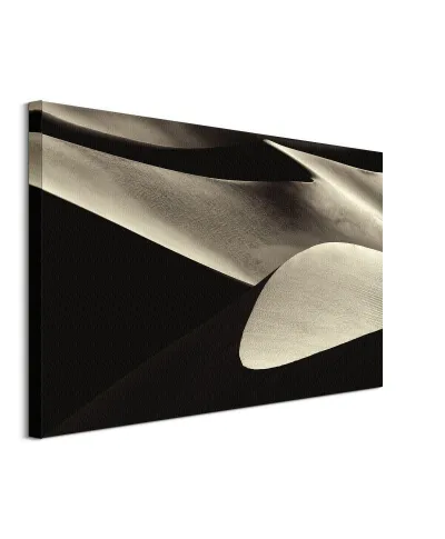 Sculptured Sand - obraz na płótnie