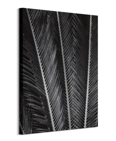 Sego Fan - obraz na płótnie