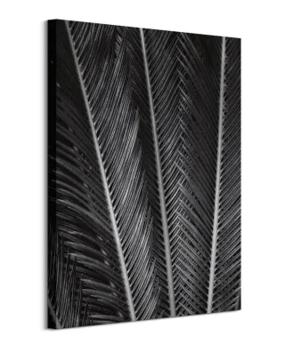 Sego Fan - obraz na płótnie