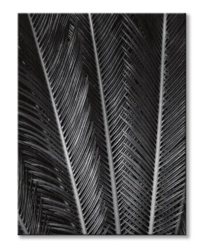 Sego Fan - obraz na płótnie