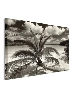 Still Growing to the Sun - obraz na płótnie