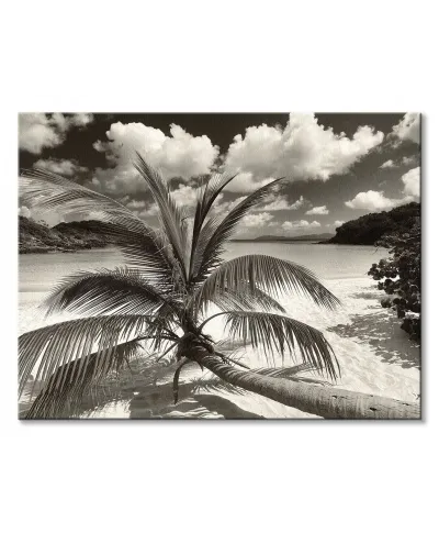 Still Growing to the Sun - obraz na płótnie