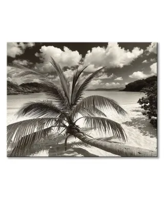 Still Growing to the Sun - obraz na płótnie