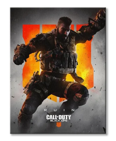 Call of Duty: Black Ops 4 Ruin - obraz na płótnie