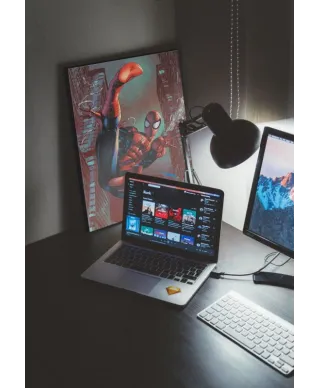 Spider-Man Web Sling - obraz na płótnie