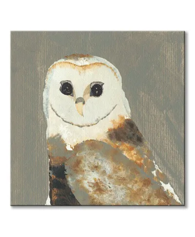 Barn Owl - obraz na płótnie