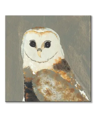 Barn Owl - obraz na płótnie