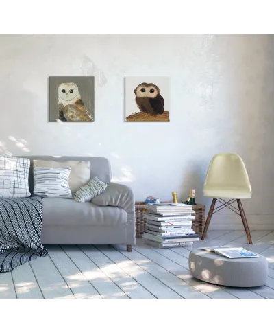 Barn Owl - obraz na płótnie