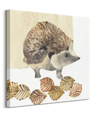 Hedgehog - obraz na płótnie