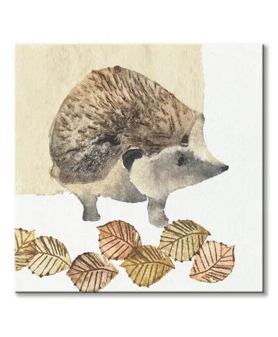 Hedgehog - obraz na płótnie