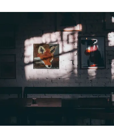 Fox - obraz na płótnie