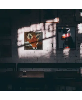 Fox - obraz na płótnie
