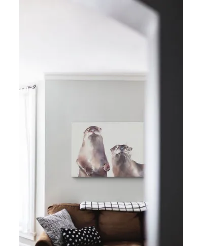 Foczki - obraz na płótnie