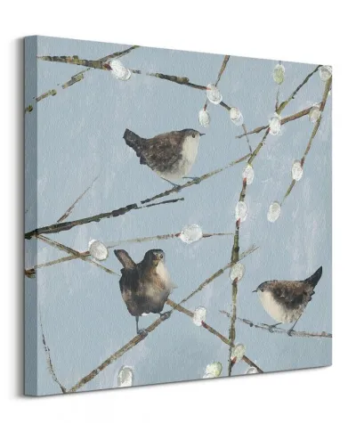 Wrens - obraz na płótnie