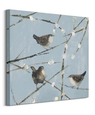Wrens - obraz na płótnie