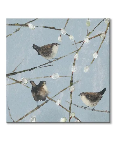 Wrens - obraz na płótnie