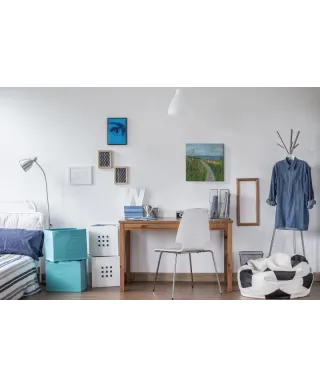 Elegant Fox - obraz na płótnie