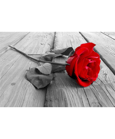 Fototapeta ścienna - Róża na pomoście - 175x115 cm