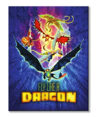 Jak wytresować smoka Fly Like A Dragon - obraz na płótnie
