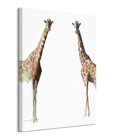 Stojące żyrafy - obraz na płótnie