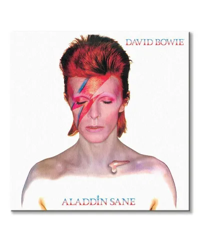 David Bowie Aladdin Sane - obraz na płótnie