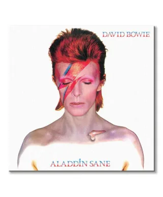 David Bowie Aladdin Sane - obraz na płótnie