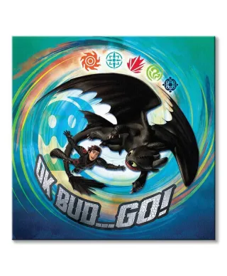 Jak wytresować smoka Friends In Flight - obraz na płótnie