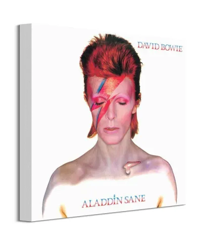 David Bowie Aladdin Sane - obraz na płótnie