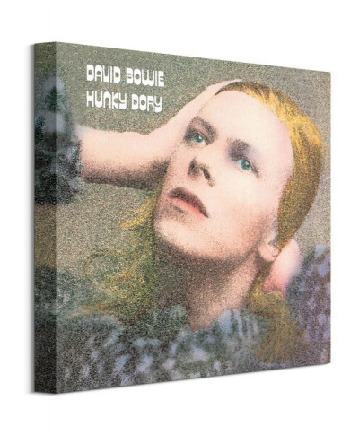 David Bowie Hunky Dory - obraz na płótnie