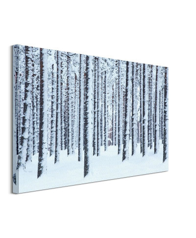 Frosted Trees - obraz na płótnie
